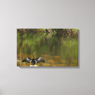 Impressão Em Tela Anahinga nos Everglades