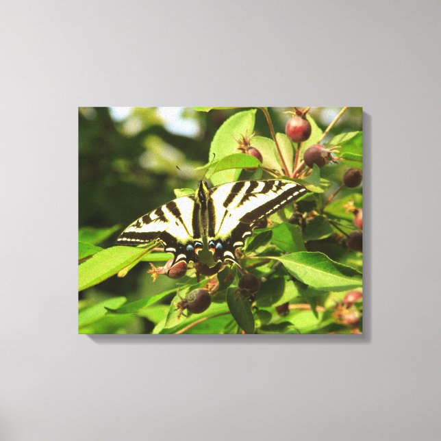 Impressão Em Tela Ananás e Borboleta (Frente)