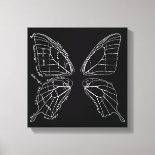 Impressão Em Tela Anatomia de um diagrama do vintage da asa da