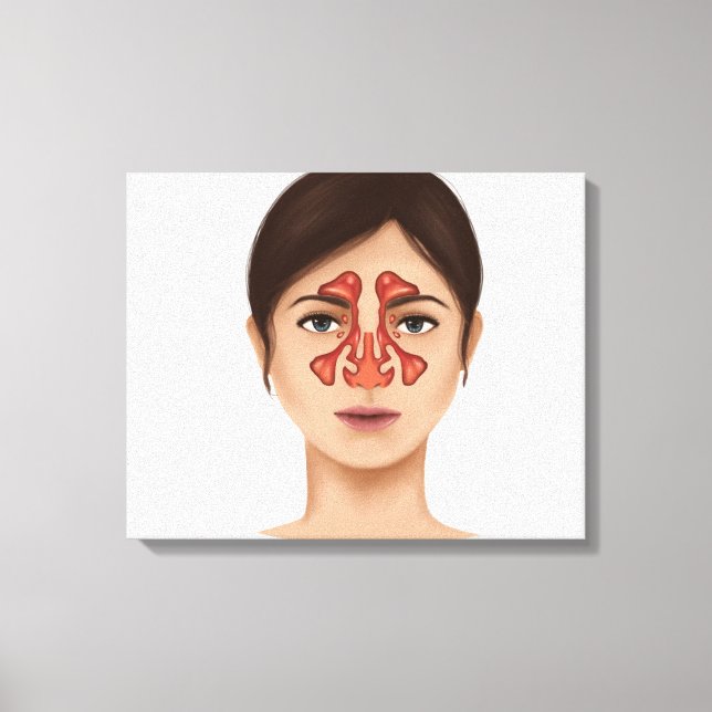 Impressão Em Tela Anatomia Dos Sinus Nasais (Frente)