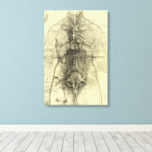 Impressão Em Tela Anatomia Humana de Leonardo da Vinci, Torso Femini