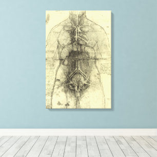 Impressão Em Tela Anatomia Humana de Leonardo da Vinci, Torso Femini