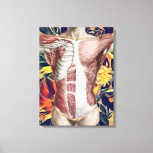 Impressão Em Tela anatomia masculina humana arte original abstrata e