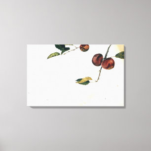 Impressão Em Tela Andrew Wyeth - MAÇÃS EM UM ESTUDO DE COMIDA ANTES 