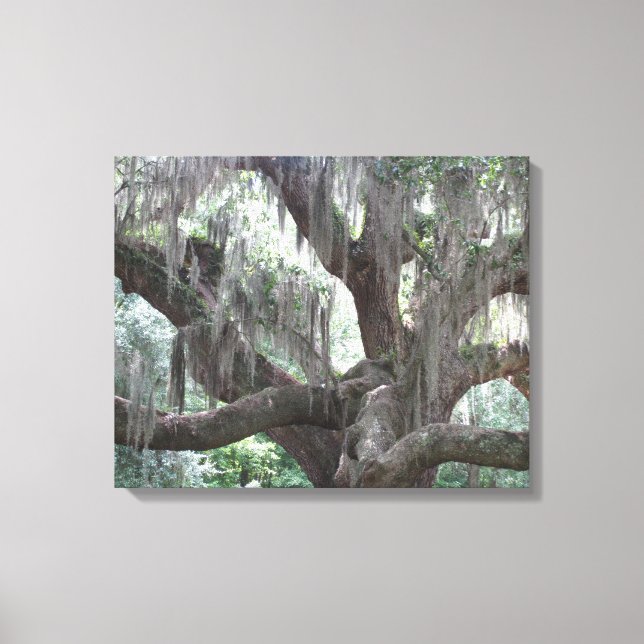 Impressão Em Tela Angel Oak da Ilha Johns (Frente)