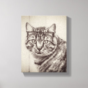 Impressão Em Tela Animais de Criação de Gatos-Celeiro 8 x 10