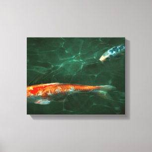 Impressão Em Tela Animal - Peixe - Koi - Outra história de peixe