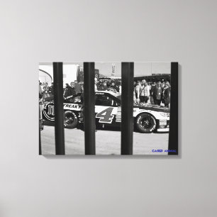 Impressão Em Tela Animal prendido