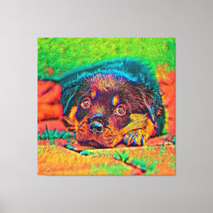 Impressão Em Tela AnimalColor_Dog_002