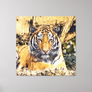 Impressão Em Tela AnimalMix_Tiger_009