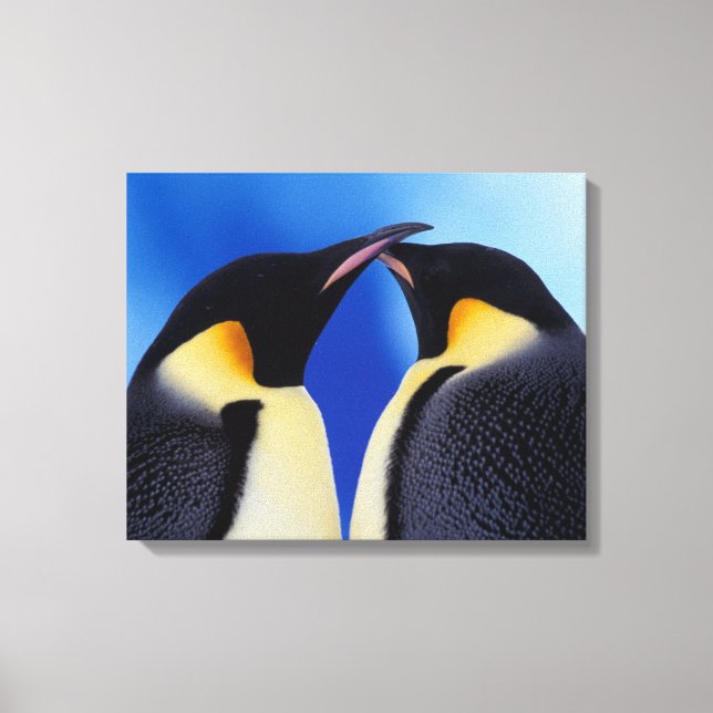 Impressão Em Tela Antártida, Pinguins Imperadores (Frente)