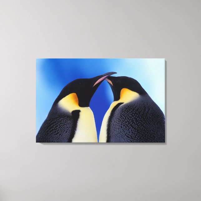 Impressão Em Tela Antártida, Pinguins Imperadores (Frente)