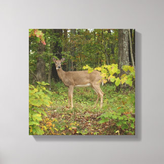 Impressão Em Tela Apenas esperando