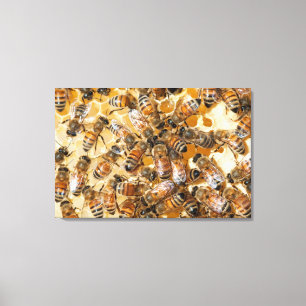 Impressão Em Tela Apicultura na fazenda do mel de Arlo