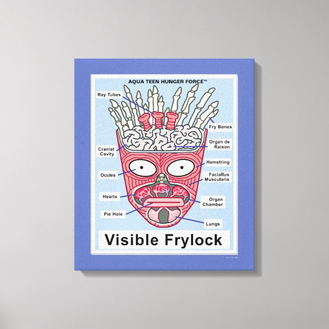 Impressão Em Tela Aqua Teen Fome Force Visible Frylock Poster (Frente)