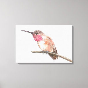 Impressão Em Tela Aquarela de passarinho
