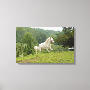 Impressão Em Tela Aqui Estou.