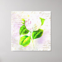 ** AR23 Escrita Manual Floral Vintage Vitoriano