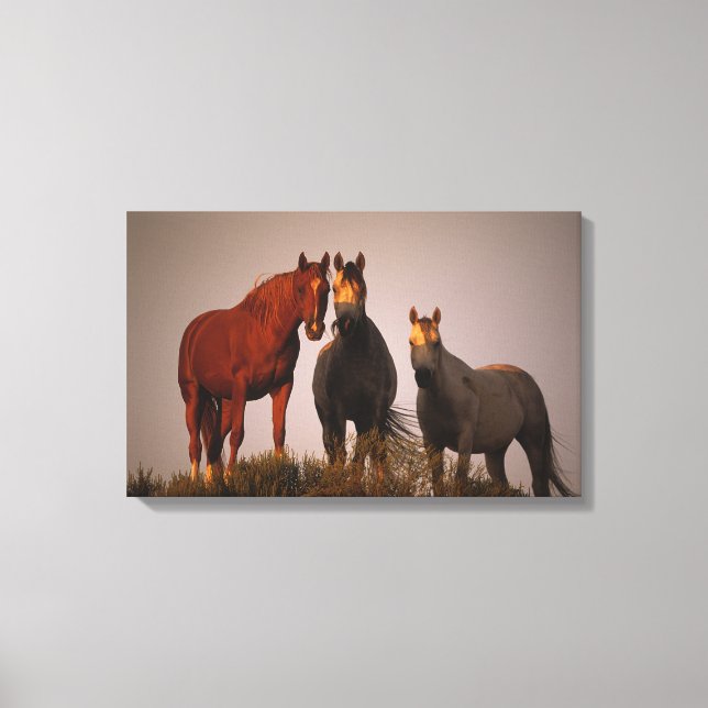 Impressão Em Tela Árabes ao pôr do sol (Frente)