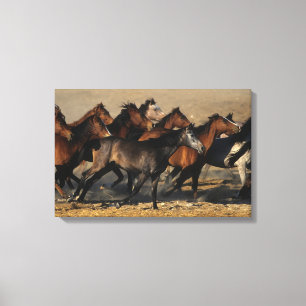 Impressão Em Tela Árabes que funcionam no deserto