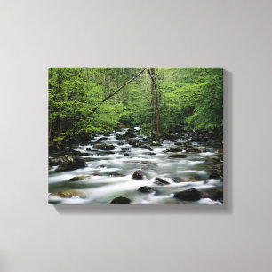 Impressão Em Tela Área da área de Greenbrier, Great Smoky Mountain