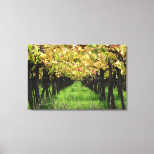 Impressão Em Tela Argentina, Mendoza, Fila De Uvas Em Vinha
