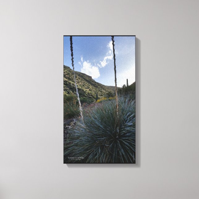 Impressão Em Tela Arizona de Imagens Cênicas das Plantas de Sotol do (Frente)