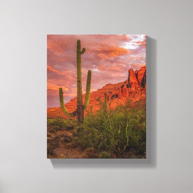 Impressão Em Tela Arizona Saguaro Cactus Terracotta Vermelho 11x14 (Frente)