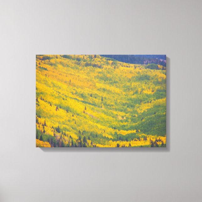 Impressão Em Tela Arizonas do Flagstaff (Frente)