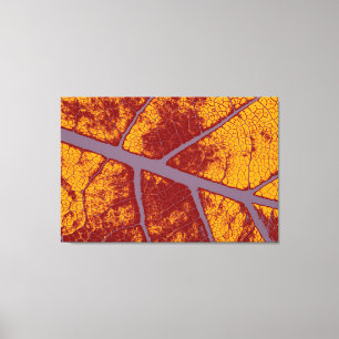 Impressão Em Tela Art. 3.o