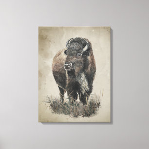 Impressão Em Tela Arte Animal Búfalo Bisonte com Visual Vintage em A