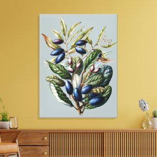 Impressão Em Tela Arte Botânica de Frutas Azuis Vintage de Sarah Fea