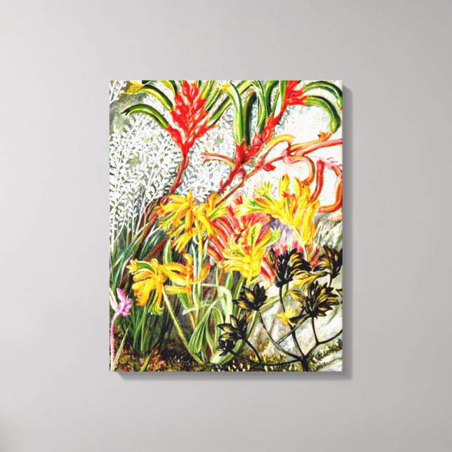 Impressão Em Tela Arte botânica vítrea, flores da Austrália Ocidenta (Frente)