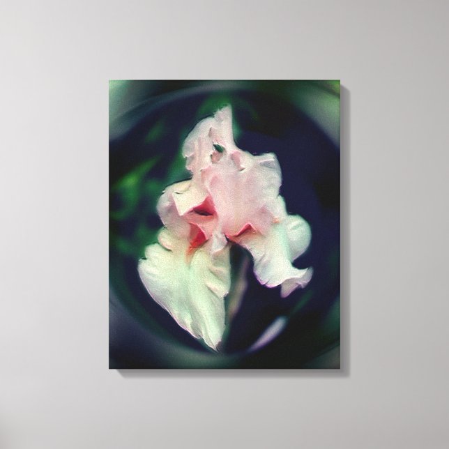 Impressão Em Tela Arte Da Flor Íris De Mão Rosa (Frente)