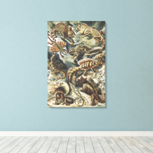 Impressão Em Tela Arte da Natureza Réptil Lagarto Vintage Ernst Haec