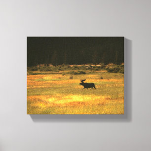 Impressão Em Tela Arte da parede dos alces de Yellowstone Bull