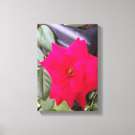 Impressão Em Tela Arte de Captura de Imagem