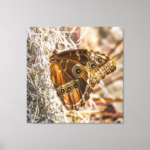 Impressão Em Tela Arte de Foto da Natureza de Borboleta Azul Morpho