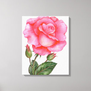 Impressão Em Tela Arte De Parede Botânica Rosa Rosa Rosa Flórida Flo