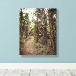 Impressão Em Tela Arte de Parede "Caminho Arborizado"
