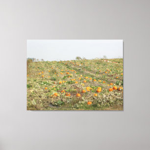 Impressão Em Tela Arte de Parede de Fotografia do Amish Pumpkin Patc
