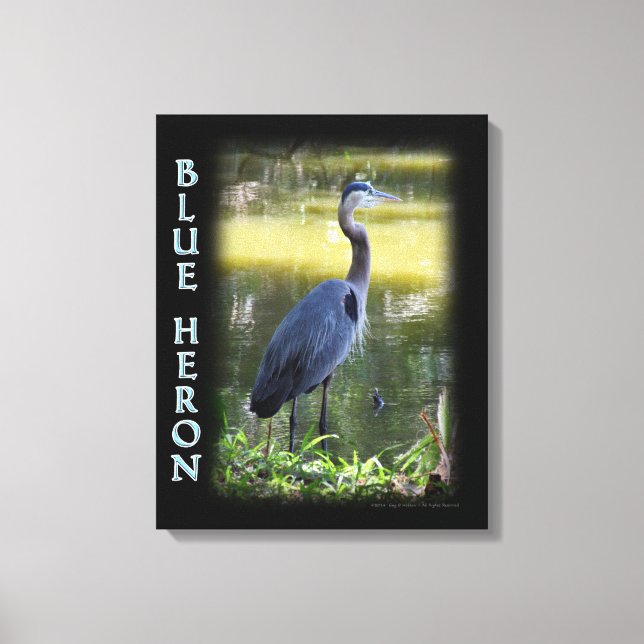 Impressão Em Tela Arte de Parede de Garça Azul Fotografia (Frente)