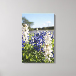 Impressão Em Tela Arte de Parede em Tela Bluebonnets Azuis e Brancos