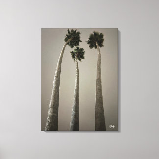 Impressão Em Tela Arte de Parede Santa Cruz Palms à Noite