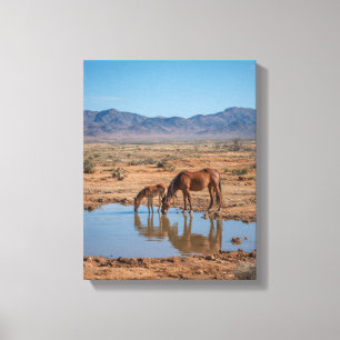 Impressão Em Tela Arte de Reflexo de Água no Deserto de Cavalos Selv