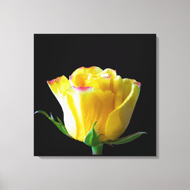 Impressão Em Tela Arte de rosa amarela (Frente)