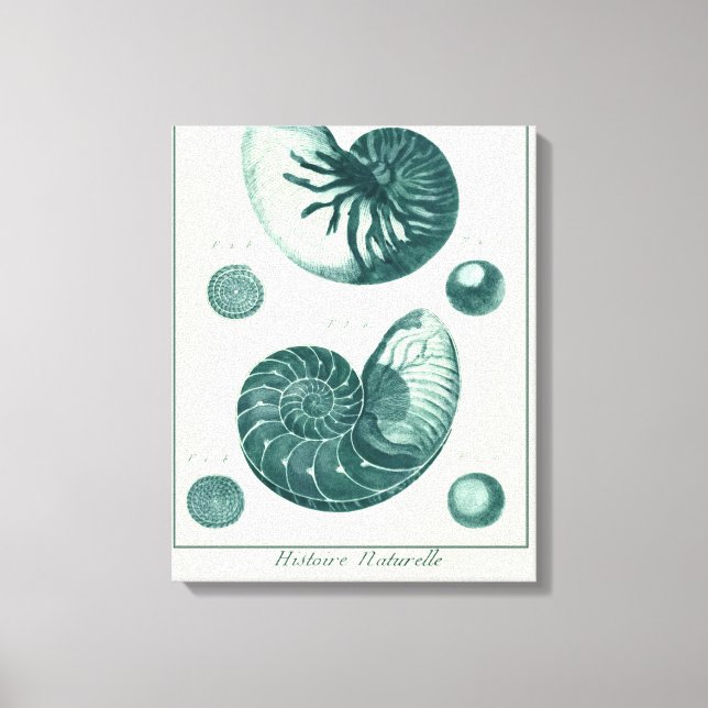 Impressão Em Tela Arte de Seashell Vermelha e Verde (Frente)