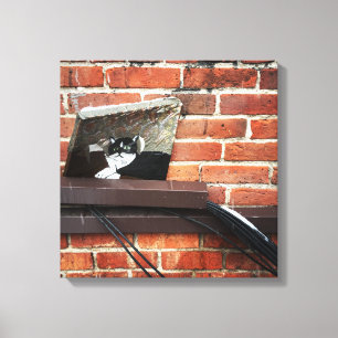 Impressão Em Tela arte do gato beco