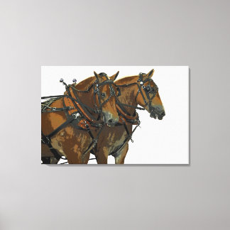 Impressão Em Tela Arte em Tela Esticada da Equipe de Cavalo de Traçã