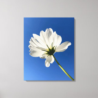 Impressão Em Tela Arte em Tela Flor Selvagem Branca